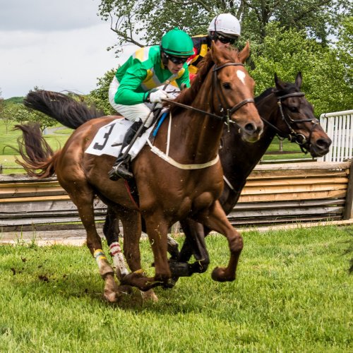 Two jockeys racing on horseback, one in green and yellow, the other in white, on a grassy track.