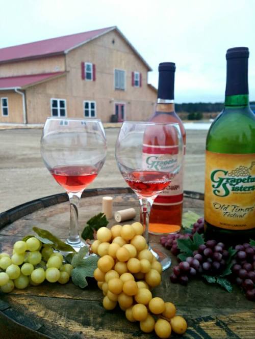 Two glasses of rosé wine sit on a barrel, surrounded by grapes, with a winery building in the background.