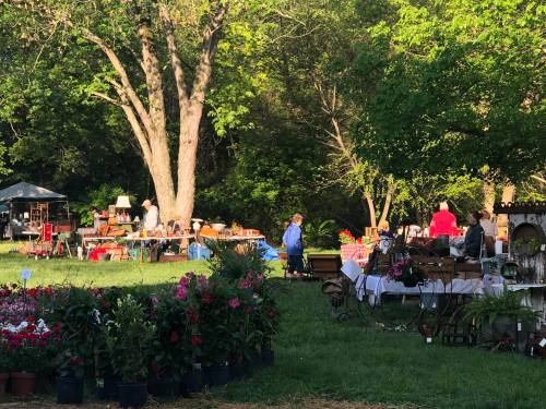 A vibrant outdoor market with tables of antiques and plants, surrounded by trees and people browsing.