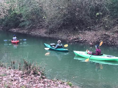 Three people kayaking on a calm, green river surrounded by trees and fallen leaves.
