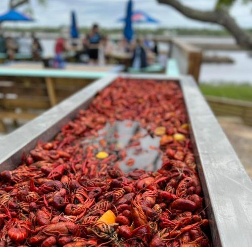 A wooden table filled with bright red crawfish, with a scenic outdoor setting in the background.
