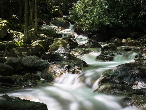 A serene stream flows over smooth rocks, surrounded by lush greenery and dappled sunlight.
