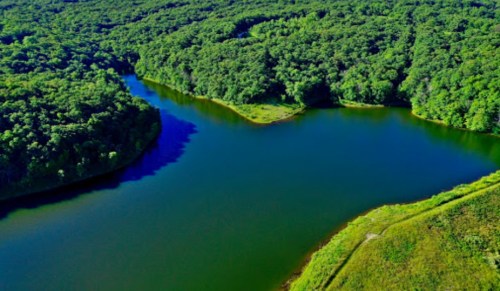 Aerial view of a winding river surrounded by lush green forests and hills under bright blue skies.