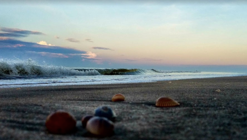 A serene beach scene at sunset, featuring seashells on the sand and gentle waves lapping at the shore.