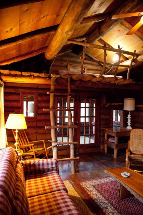 Cozy log cabin interior with wooden beams, a plaid sofa, and a ladder leading to a loft area. Warm lighting enhances the ambiance.