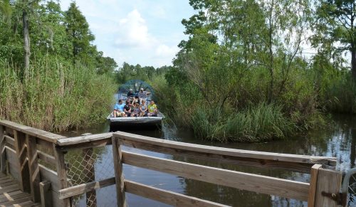 A boat filled with people navigates through a lush, green waterway surrounded by tall grasses and trees.