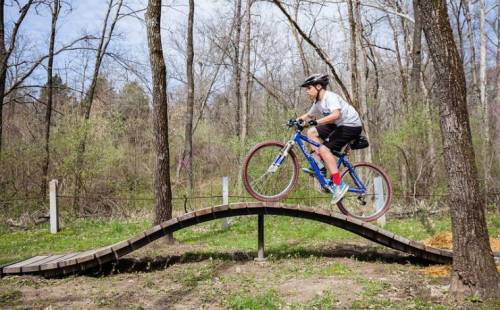 A child rides a blue mountain bike over a wooden ramp in a forested area with trees and greenery.