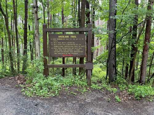 Sign for Overlook Trail surrounded by trees, detailing trail information and history. Pathway visible in foreground.