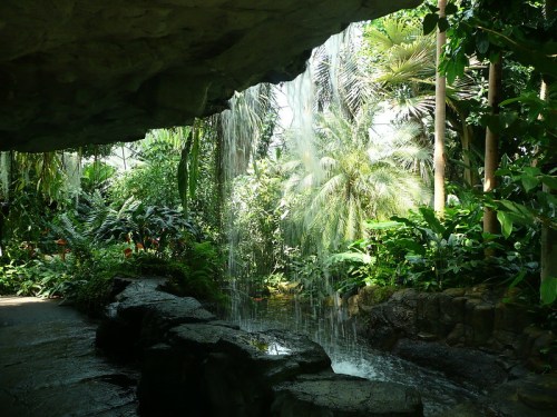 A lush tropical garden with a waterfall cascading over rocks, surrounded by vibrant greenery and palm trees.