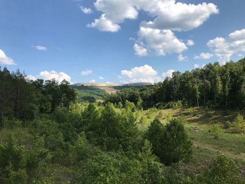 Lush green landscape with trees and a clear blue sky dotted with clouds, showcasing a serene natural setting.