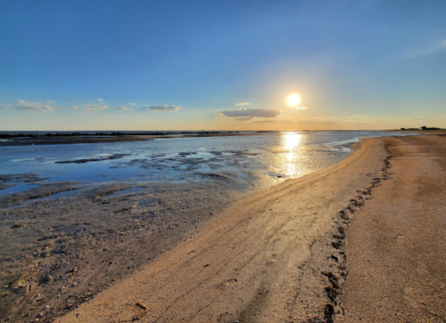 A serene beach at sunset, with a calm sea reflecting the golden light and a sandy shore leading into the distance.