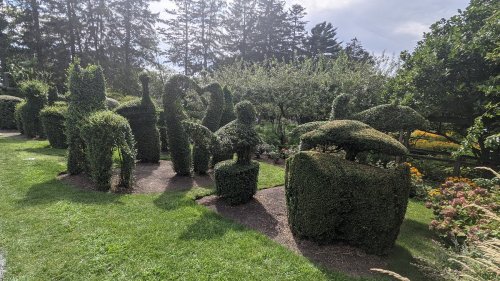 A garden featuring creatively shaped topiary sculptures resembling animals and plants, surrounded by lush greenery.