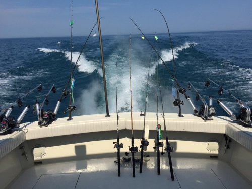 Fishing rods lined up on a boat, with waves trailing behind as it moves through the water.