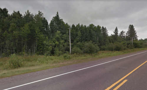 A rural road lined with green trees and shrubs under a cloudy sky. Power lines run alongside the road.