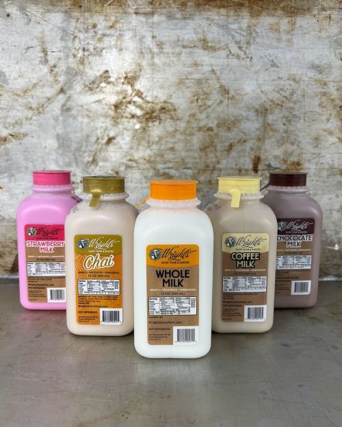 Five bottles of flavored milk: strawberry, chai, whole, coffee, and chocolate, displayed on a metallic surface.