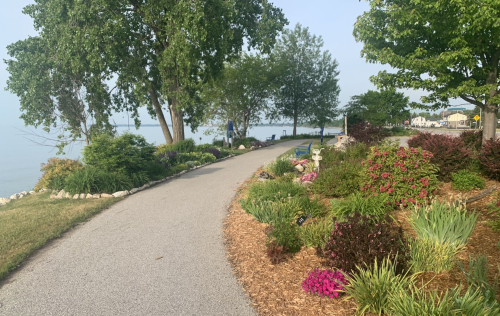 A scenic pathway lined with colorful flowers and greenery, leading towards a calm body of water under a clear sky.