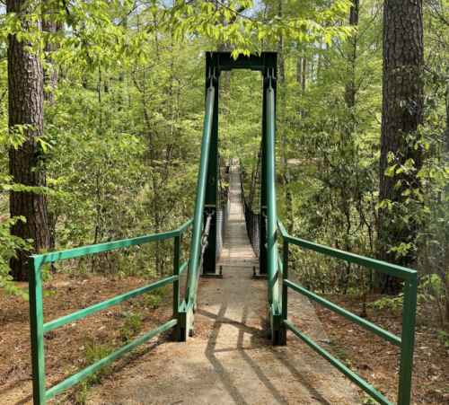 A green suspension bridge surrounded by lush trees, leading into a serene forest path.