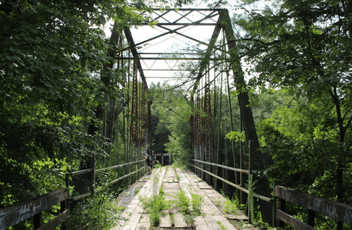 An old, rusty bridge surrounded by lush greenery, with wooden planks and overgrown plants on the pathway.