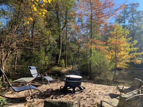 A serene outdoor scene with lounge chairs around a fire pit, surrounded by trees with autumn foliage.