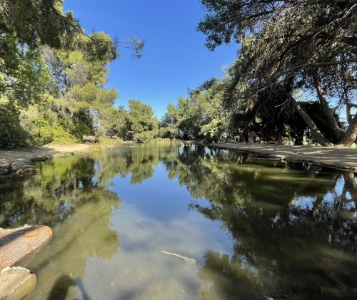 A serene river scene with clear water reflecting trees and a blue sky, surrounded by lush greenery.