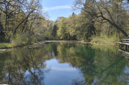 A serene pond surrounded by lush green trees, reflecting the blue sky and foliage.