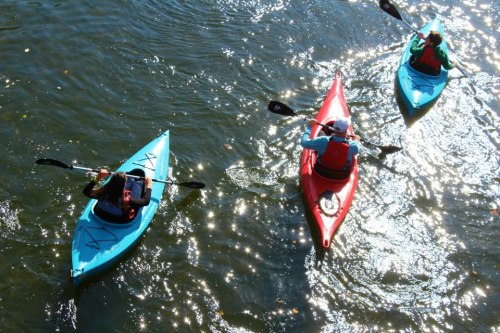 Three kayakers paddle on a shimmering water surface, with sunlight reflecting off the waves.