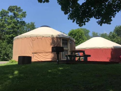 Two yurts in a grassy area, surrounded by trees, with a picnic table and grill nearby under a clear blue sky.