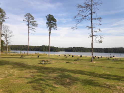 A serene lakeside view with picnic tables, trees, and a calm water surface under a clear blue sky.