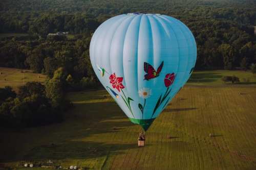 A colorful hot air balloon with floral designs floats above a green field surrounded by trees.