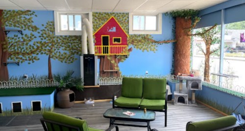 Cozy room with green seating, colorful tree mural, and cat furniture, creating a welcoming atmosphere.
