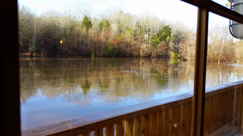 A serene view of a calm lake surrounded by trees, seen through a wooden railing.
