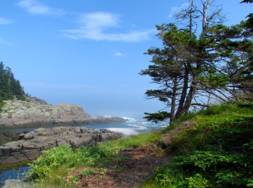Coastal landscape featuring rocky shores, lush greenery, and a misty ocean under a blue sky.