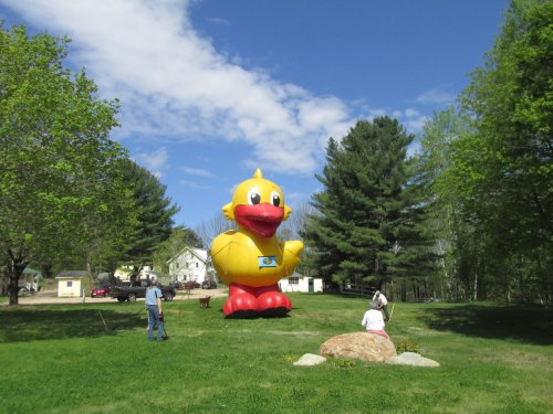A large inflatable yellow duck stands in a grassy area, with people nearby and trees in the background.