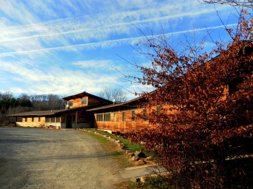 A rustic wooden building surrounded by trees and a gravel path, under a blue sky with wispy clouds.
