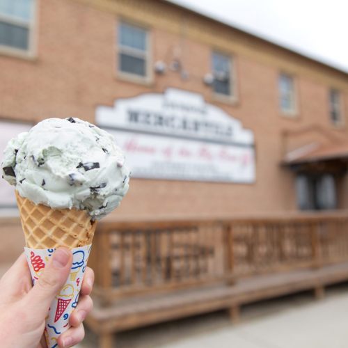 A hand holds a mint chocolate chip ice cream cone in front of a brick building with a sign.