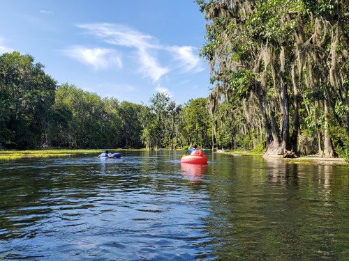 Two colorful inflatable tubes float on a calm river surrounded by lush greenery and trees under a clear blue sky.