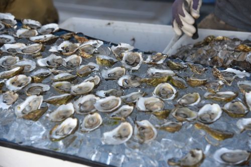 A display of fresh oysters on ice, with a person preparing them in the background.