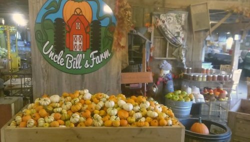 A rustic farm stand filled with various pumpkins and gourds, with a sign for "Uncle Bill's Farm" in the background.