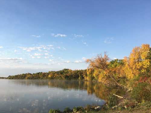 A serene lake surrounded by trees with vibrant autumn foliage under a clear blue sky.