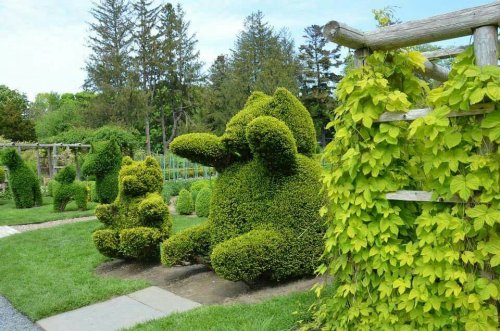 A large topiary sculpture of a rabbit sits beside smaller topiary figures in a lush garden setting.