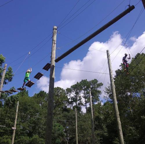 Two people navigate a high ropes course among trees under a blue sky with fluffy clouds.