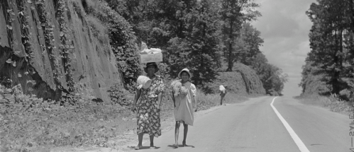 Two women walking along a road, one carrying a bundle on her head, surrounded by greenery and trees.
