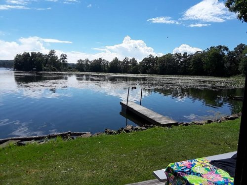 A serene lake view with a wooden dock, surrounded by trees and blue skies with fluffy clouds.