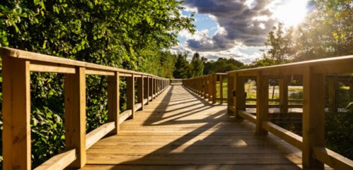 A wooden boardwalk stretches into a lush green landscape under a partly cloudy sky, with sunlight casting shadows.