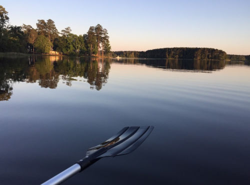 A calm lake at sunset, with a paddle in the foreground reflecting the serene water and trees along the shore.