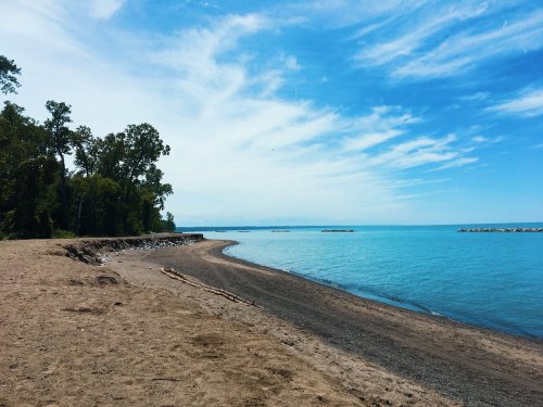 A serene beach scene with sandy shore, calm blue water, and a clear sky dotted with clouds. Trees line the background.