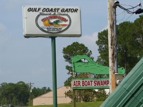 Sign for Gulf Coast Gator featuring an alligator graphic, with an airboat swamp attraction nearby. Green trees in background.