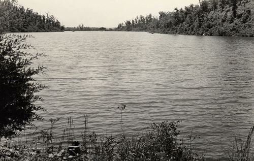 A serene black-and-white view of a calm river surrounded by trees and vegetation on both banks.