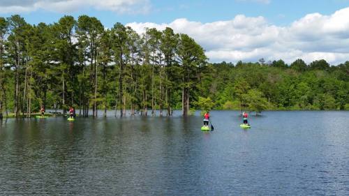 People paddleboarding on a calm lake surrounded by lush green trees and a blue sky with fluffy clouds.