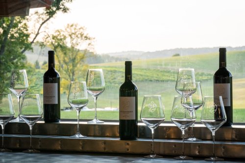A scenic view of a vineyard with wine bottles and glasses arranged on a table in the foreground.
